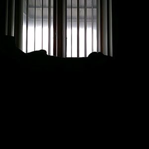 Meet your Posher, Cherie